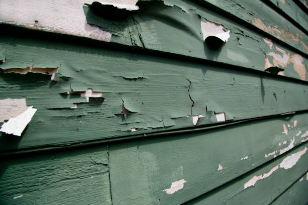 Best Fiber Cement Siding Installation  in Ahoskie, NC